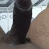 foto do perfil bobsan-